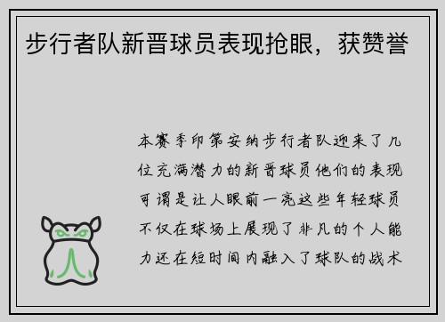 步行者队新晋球员表现抢眼，获赞誉